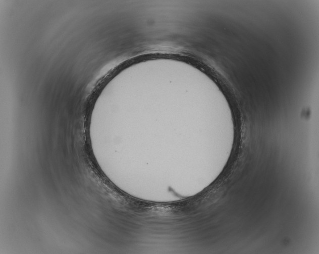 X0000114421315200911131442