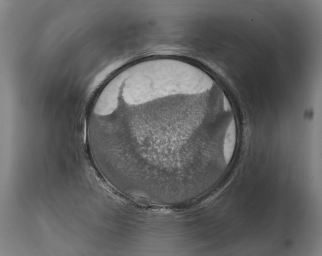 X0000114421317200911131442