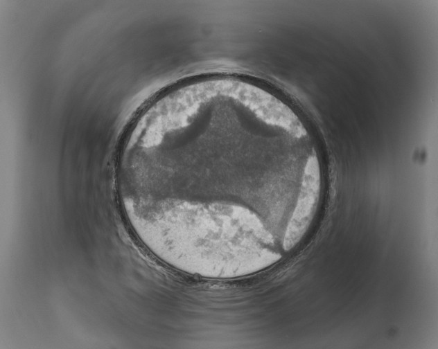 X0000114421318200911131442