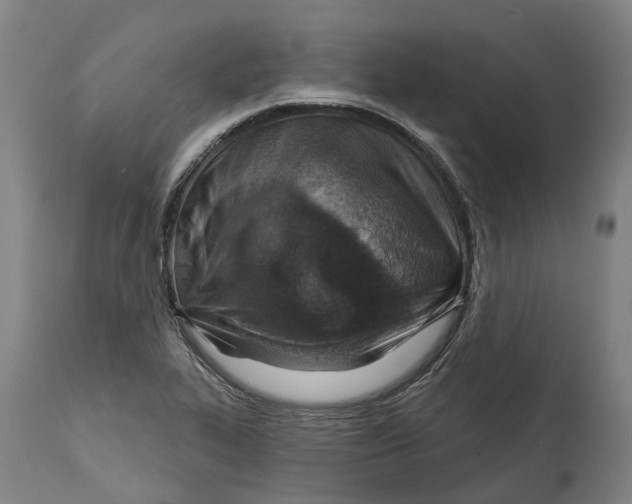 X0000114421319200911131442