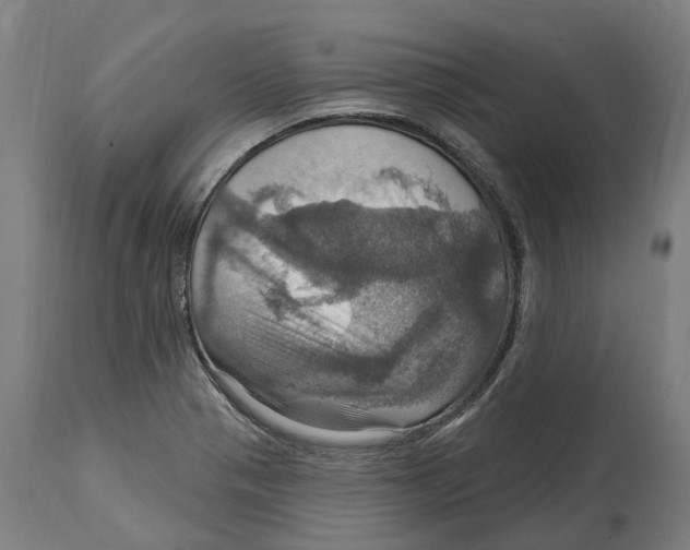 X0000114421321200911131442