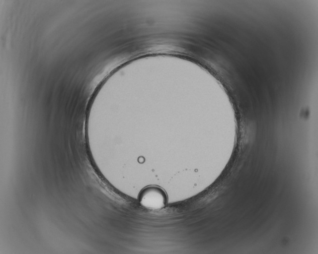 X0000114421322200911131442