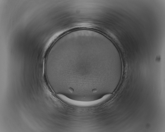 X0000114421323200911131442