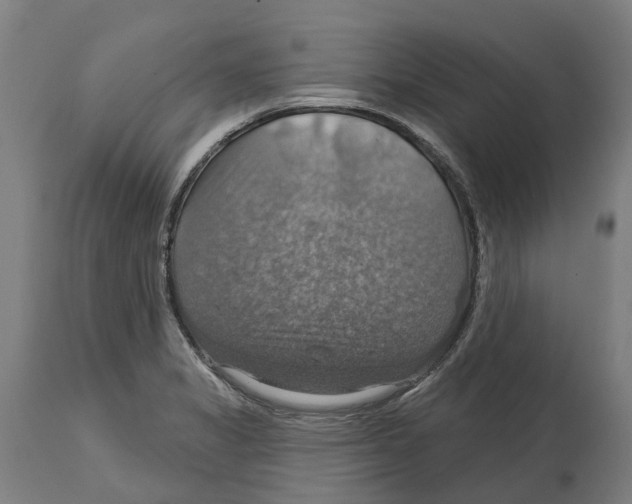 X0000114421325200911131442