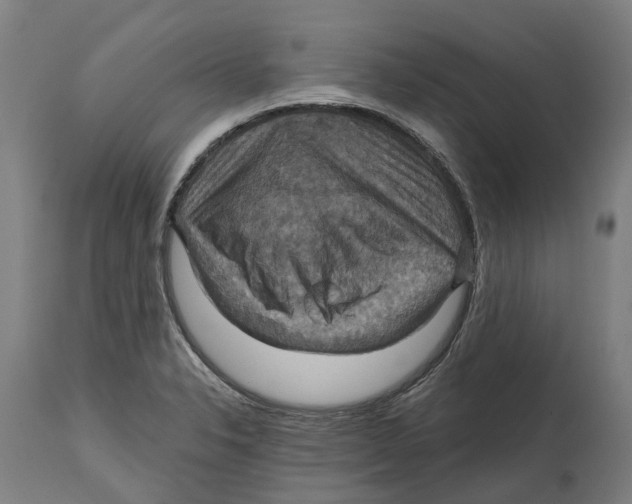 X0000114421326200911131442