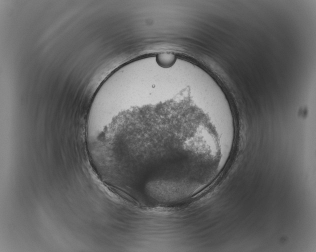 X0000114421329200911131442