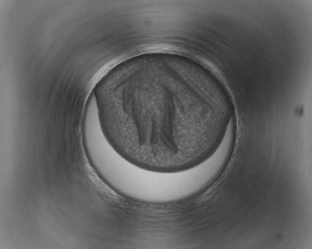 X0000114421330200911131442