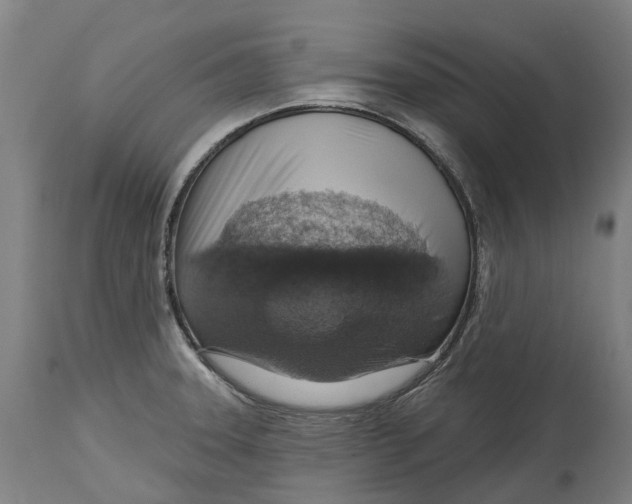 X0000114421331200911131442