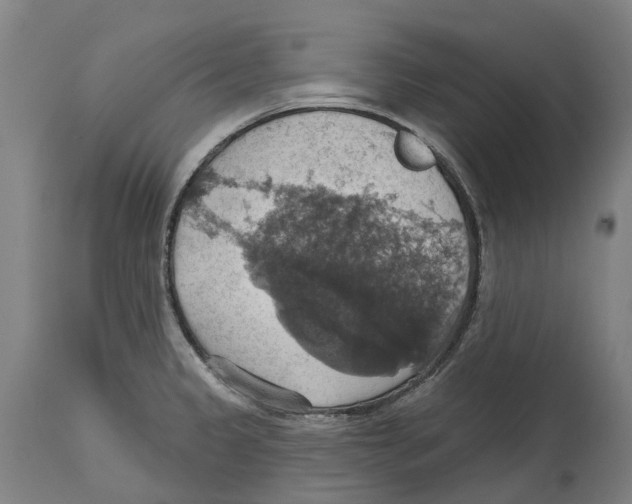 X0000114421333200911131442