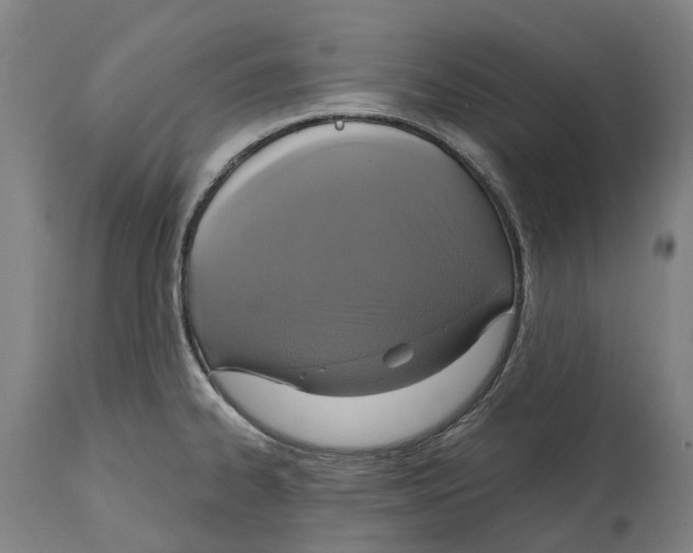 X0000114421334200911131442