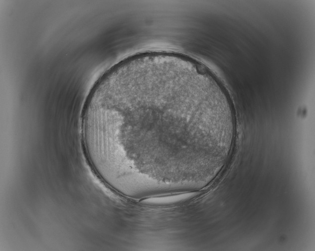 X0000114421335200911131442