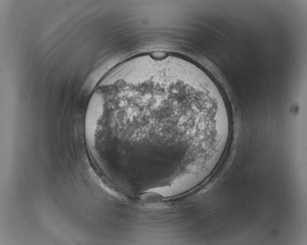 X0000114421337200911131442