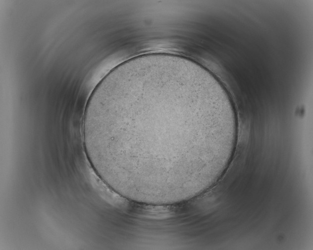 X0000114421338200911131442