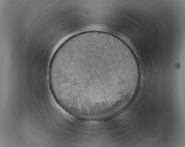 X0000114421339200911131442