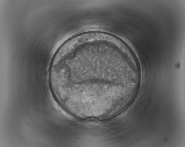 X0000114421341200911131442