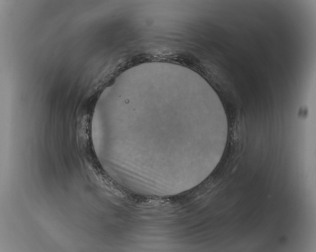 X0000114421346200911131442