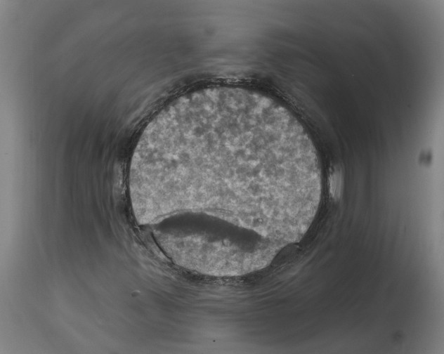 X0000114421347200911131442