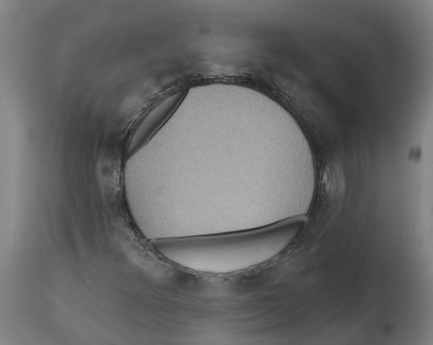 X0000114421348200911131442