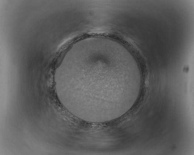 X0000114421350200911131442