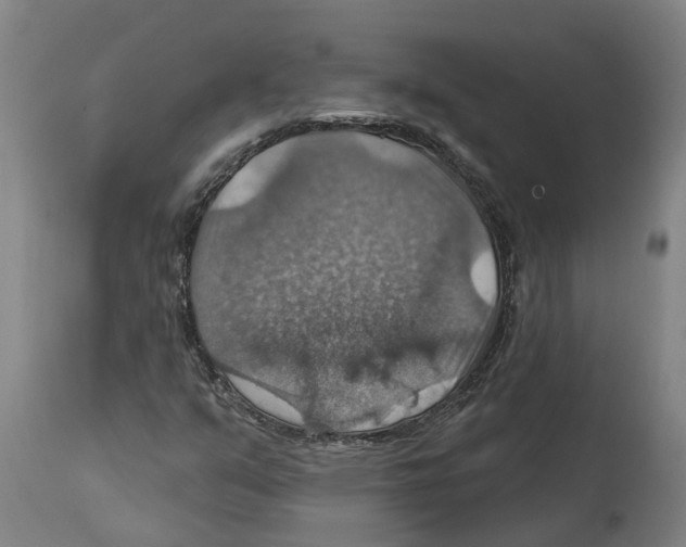 X0000114421351200911131442