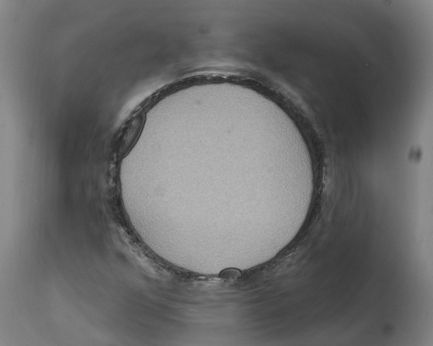 X0000114421352200911131442