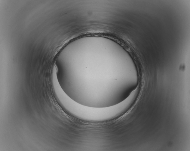 X0000114421353200911131442