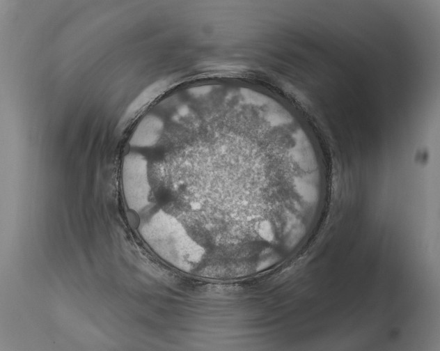 X0000114421354200911131442