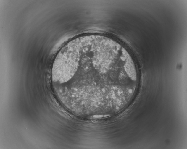 X0000114421355200911131442