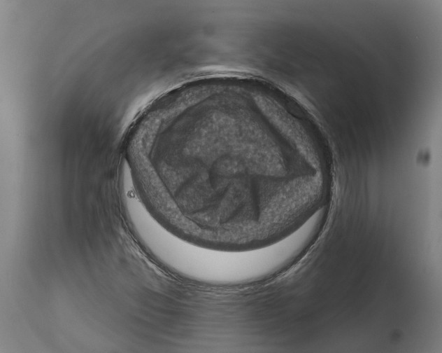 X0000114421357200911131442