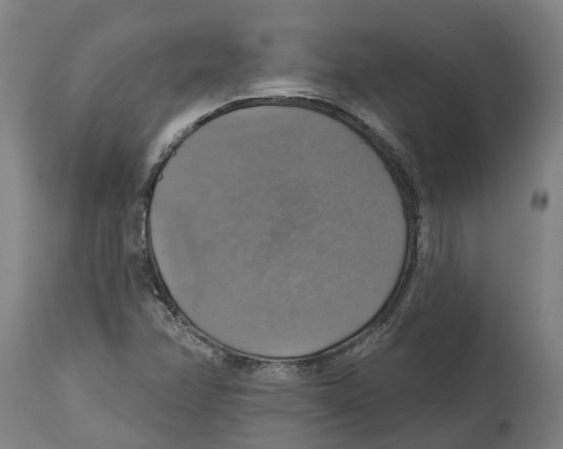 X0000114421358200911131442