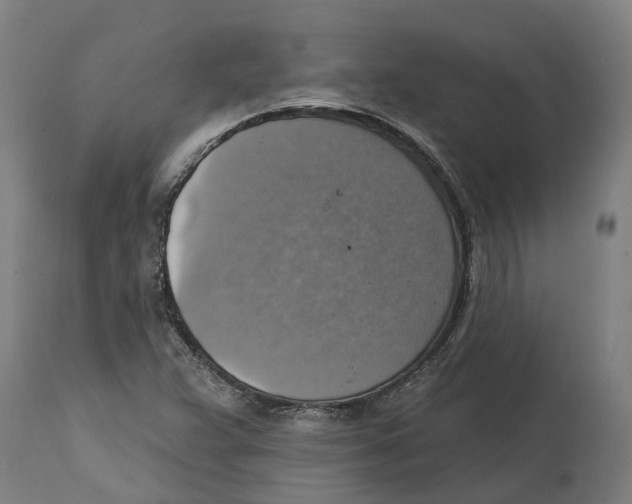 X0000114421359200911131442