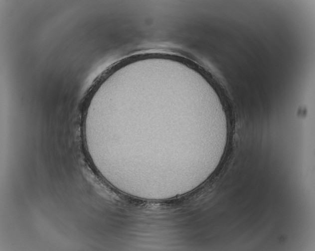 X0000114421360200911131442