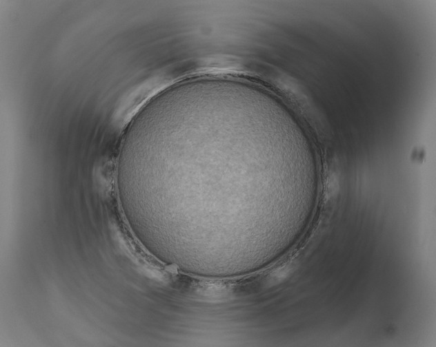 X0000114421361200911131442