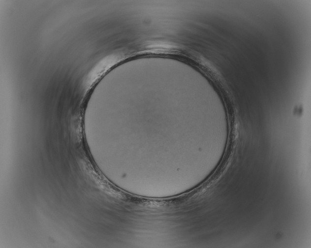 X0000114421362200911131442