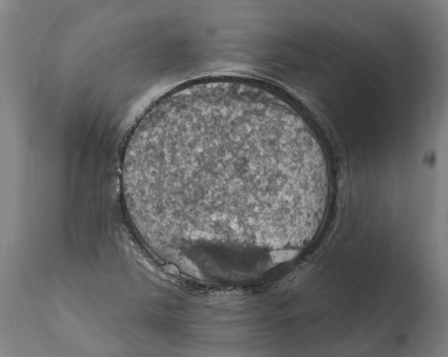 X0000114421363200911131442