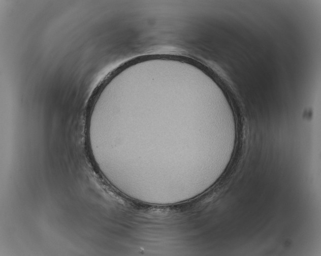 X0000114421364200911131442