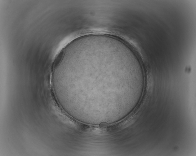 X0000114421365200911131442