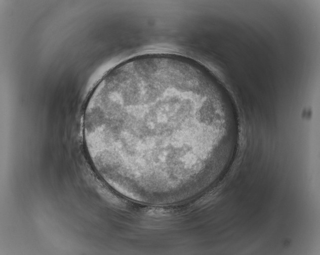 X0000114421366200911131442