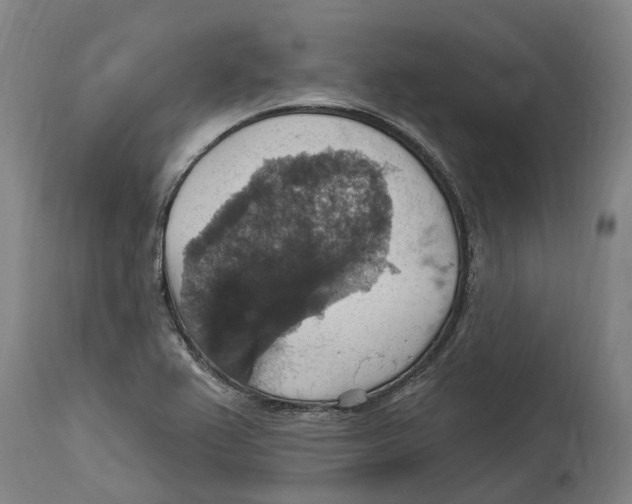 X0000114421367200911131442