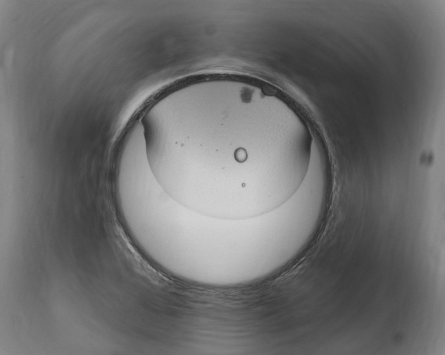 X0000114421368200911131442