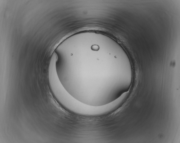 X0000114421369200911131442