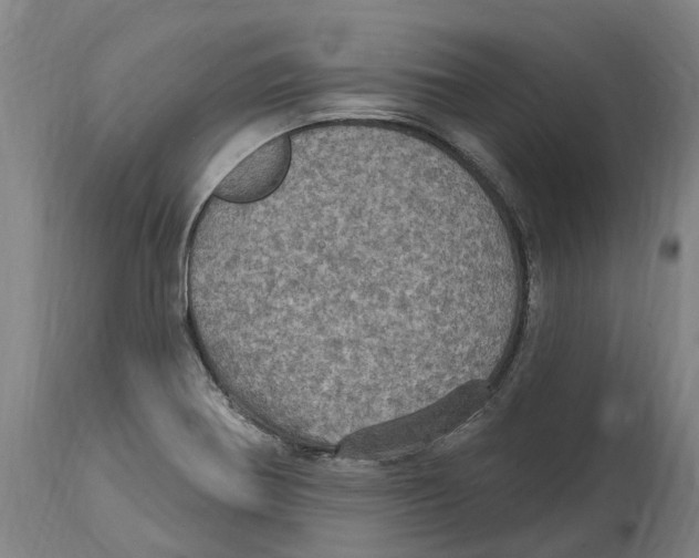 X0000114421370200911131442