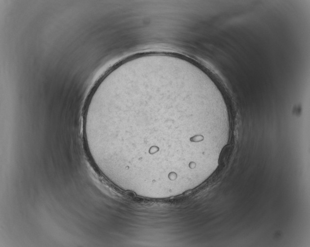 X0000114421372200911131441