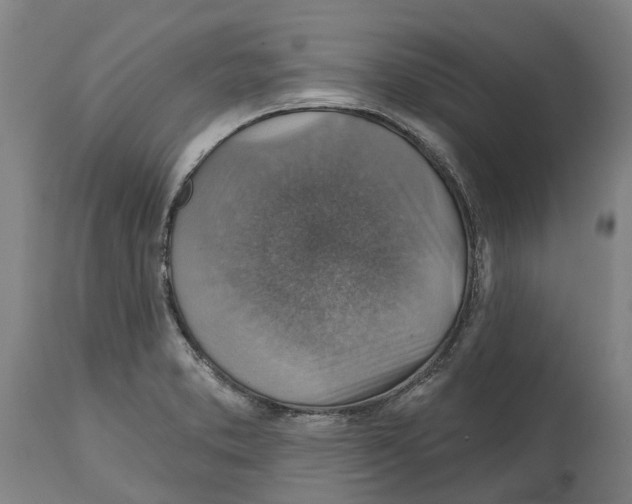 X0000114421373200911131441