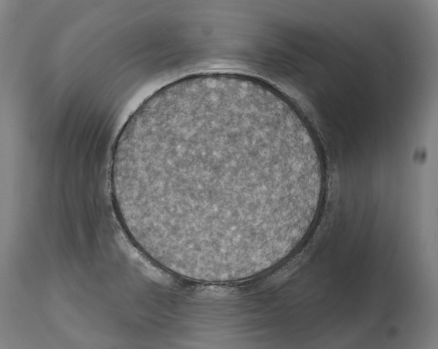 X0000114421374200911131441