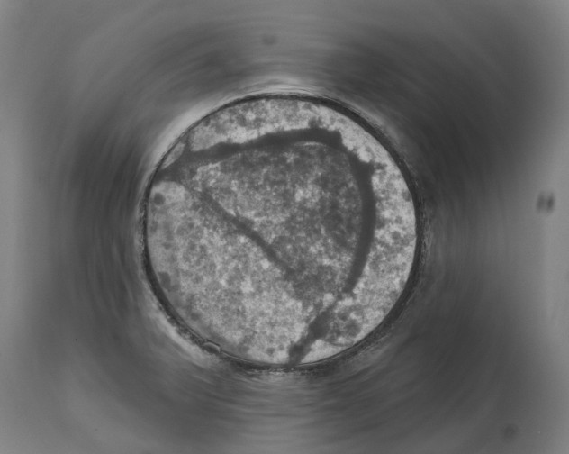 X0000114421375200911131441