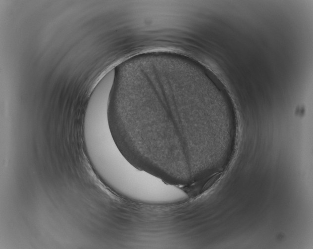 X0000114421377200911131441