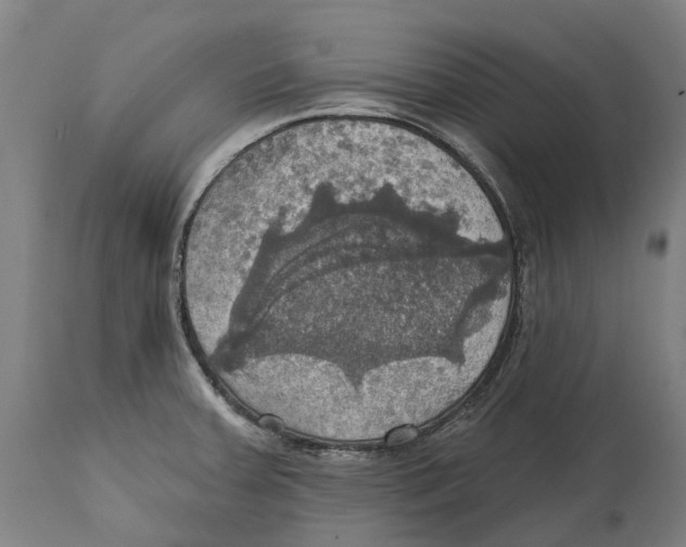 X0000114421379200911131441