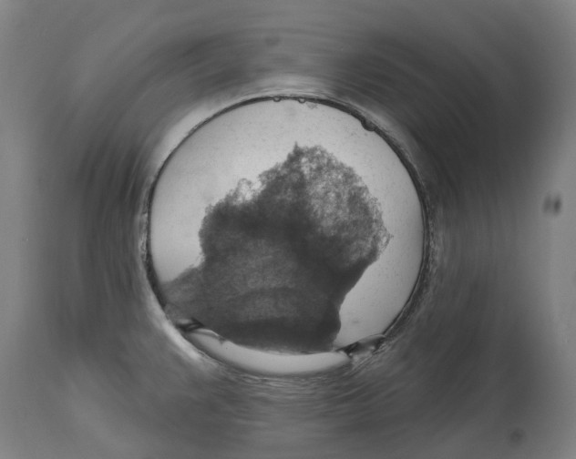 X0000114421383200911131441