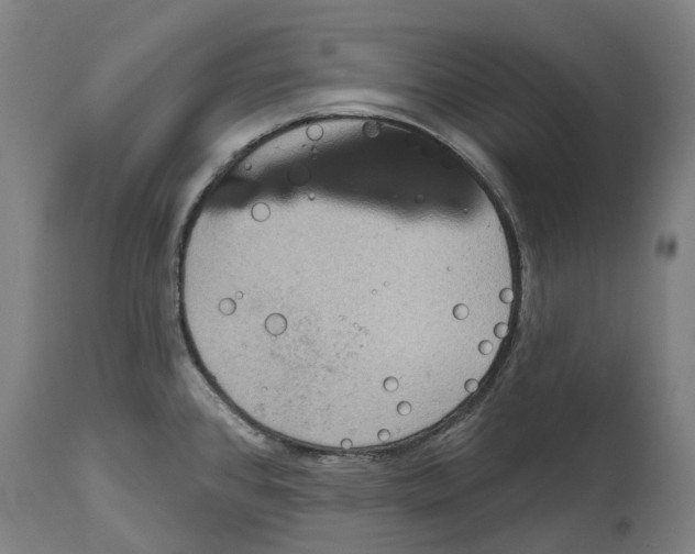 X0000114421384200911131441